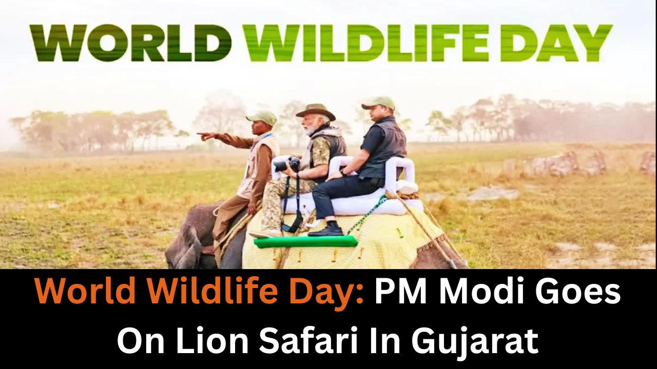 World Wildlife Day: PM Modi Goes On Lion Safari In Gujarat